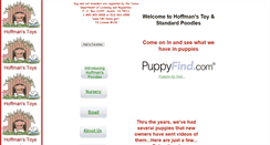 Desktop Screenshot of hoffmanstoys.com